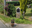 02.4 - Borne-potale 2 - Schaltin