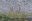 15.10 - Mur de jardin - Emptinne