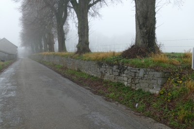 15.11 - Mur 2 - Emptinne
