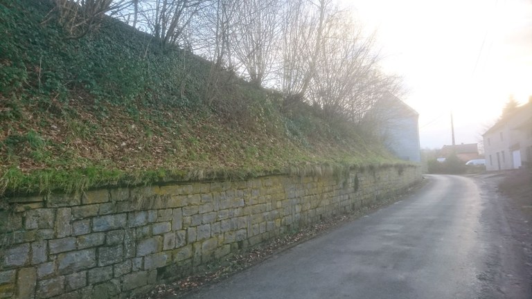 15.11 - Mur - Mohiville