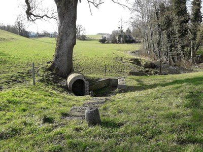 01.1 - Fontaine Maya - Mohiville