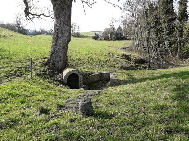 01.1 - Fontaine Maya - Mohiville