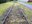 16.1 - Rails - Hamois